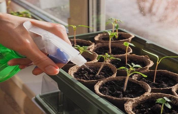 สเปรย์พืช