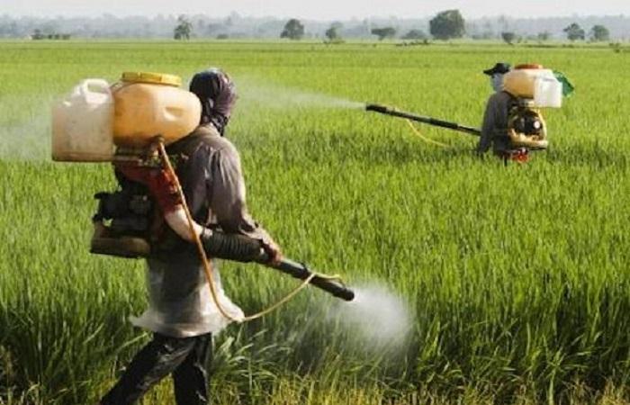 การป้องกันจากความเป็นพิษ