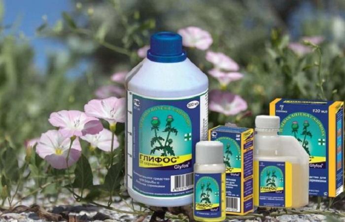 ขวดไกลโฟส