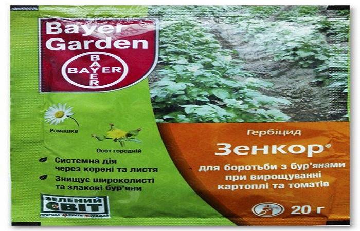 เซนคอร์ในบรรจุภัณฑ์