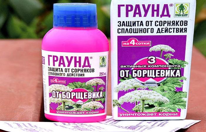 สีสันสดใส