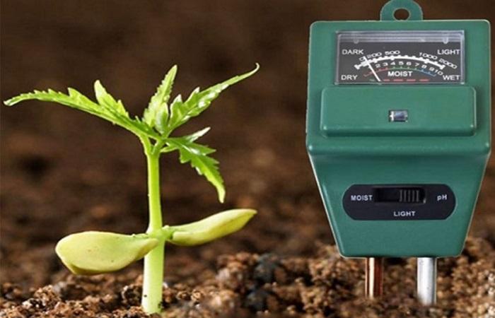 การกำหนดความเป็นกรด