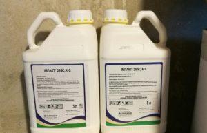 Mode d'emploi du fongicide Impact Exclusive, dosage et analogues