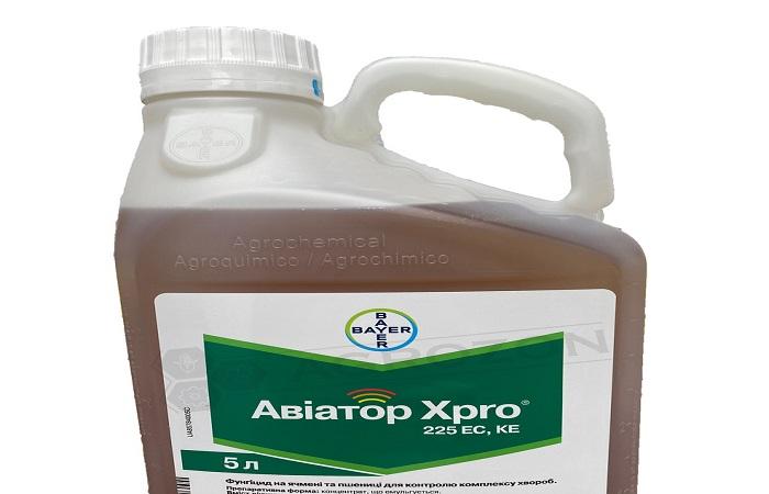 นักบินอะนาล็อก