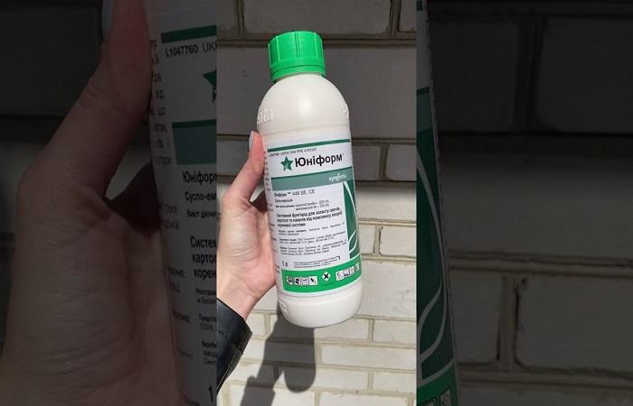 tenir dans les mains