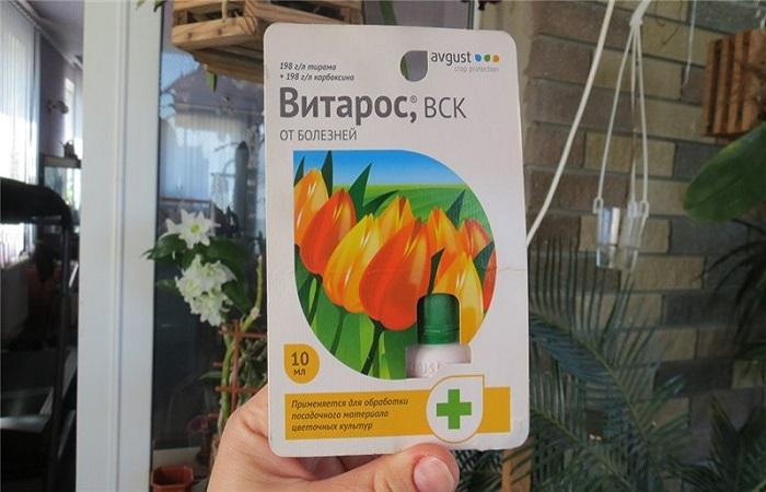 ศึกษาคำแนะนำ