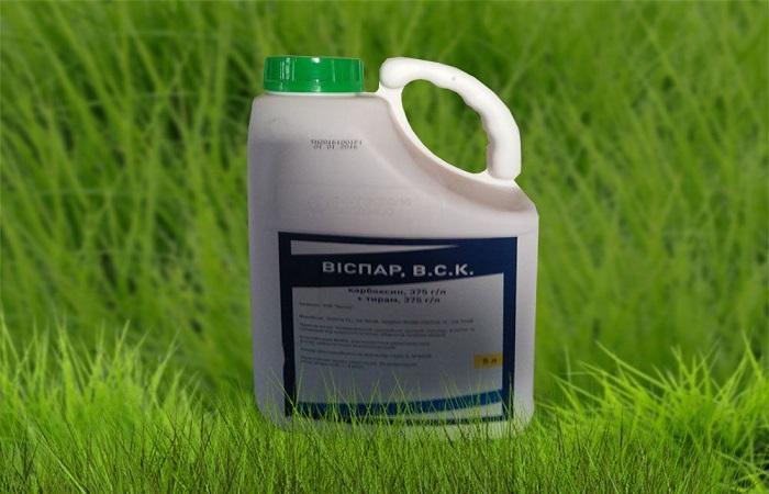 ยาอะนาล็อก