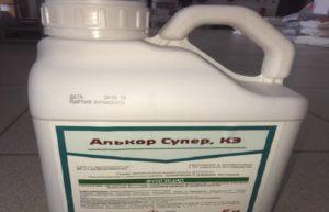 คำแนะนำการใช้ Alcor Super ปริมาณยาฆ่าเชื้อรา และสารที่คล้ายกัน