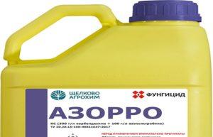 คำแนะนำในการใช้และการผสมสารป้องกันเชื้อรา Azorro อัตราการใช้และสารประกอบที่คล้ายกัน