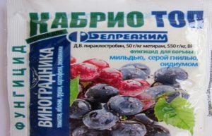 คำแนะนำในการใช้ Cabrio Top ส่วนประกอบ ปริมาณ และสารคล้ายสารฆ่าเชื้อรา