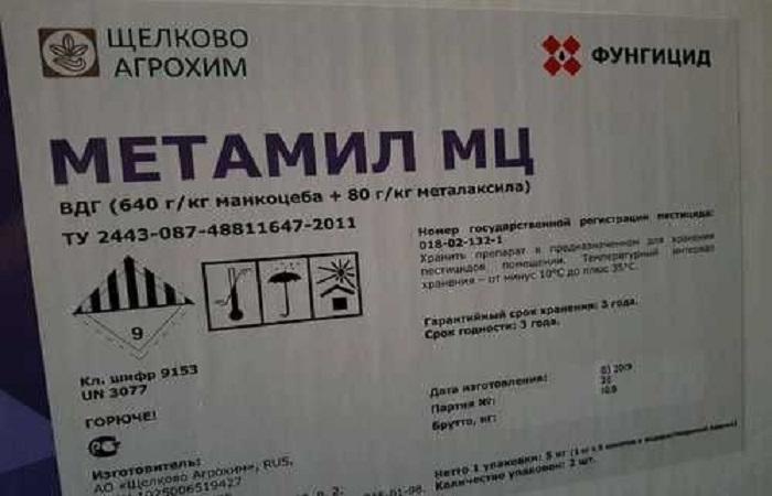 จารึกบนกระดาษแข็ง