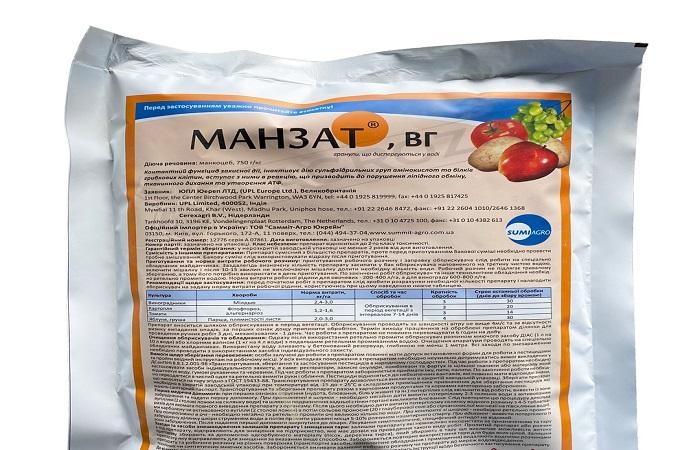 ยามานซัต