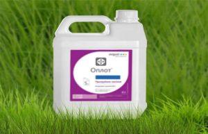 Mode d'emploi du traitement des semences Oplot, dosage et analogues