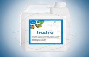 คำแนะนำสำหรับการใช้อินดิโก้ การเตรียม ส่วนประกอบ และปริมาณยาฆ่าเชื้อรา