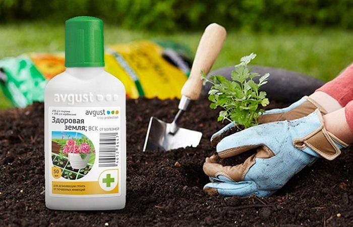 ที่ดินมีสุขภาพดี