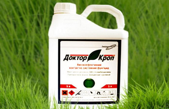 médecin des cultures