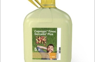 เซอร์คาดิส พลัส โฟโต้