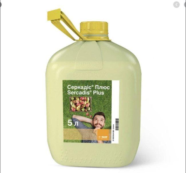 เซอร์คาดิส พลัส โฟโต้