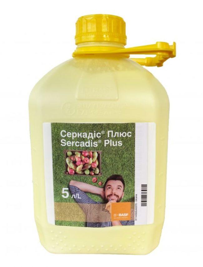 เซอร์คาดิส พลัส