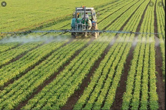 เซอร์คาดิส พลัส