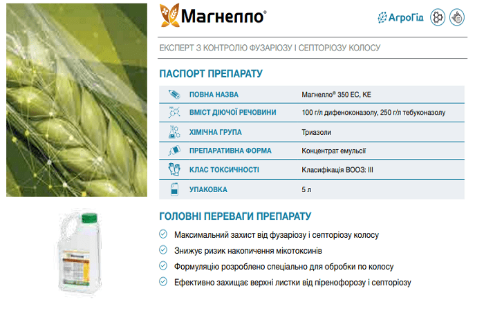 ลักษณะเฉพาะของเคมี