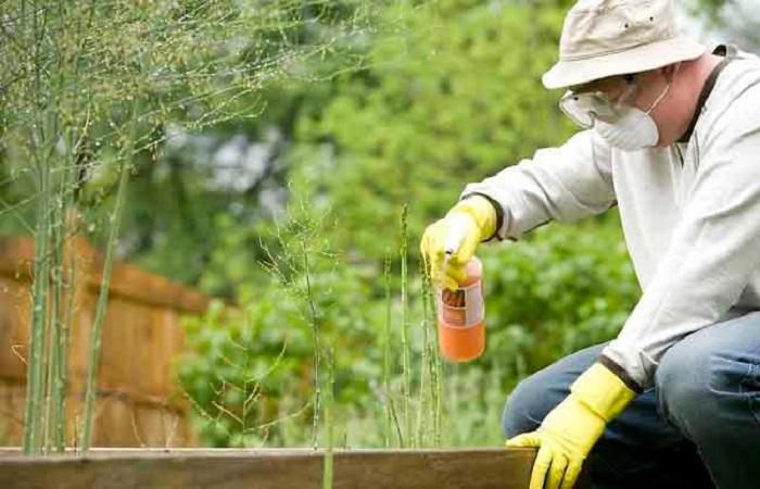 jardinier au travail