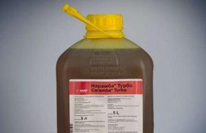 คำแนะนำในการใช้และการผสมสารฆ่าเชื้อรา Karamba อัตราการใช้และสารประกอบที่คล้ายกัน