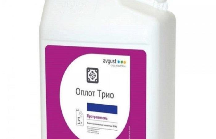 préparation de la gravure