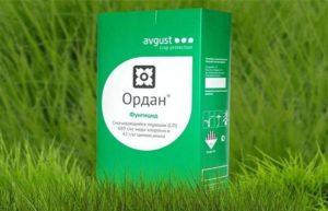 คำแนะนำในการใช้ Ordan วิธีการเจือจางสารป้องกันเชื้อราและสารที่คล้ายกัน