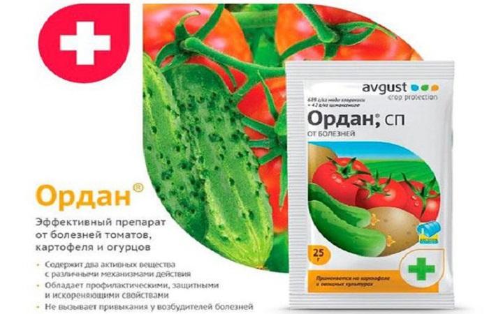 กางเขนสีขาว