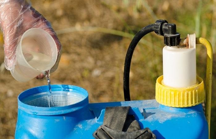 เทของเหลวลงไป