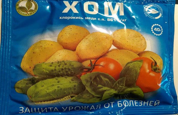 กระเป๋าสีฟ้า