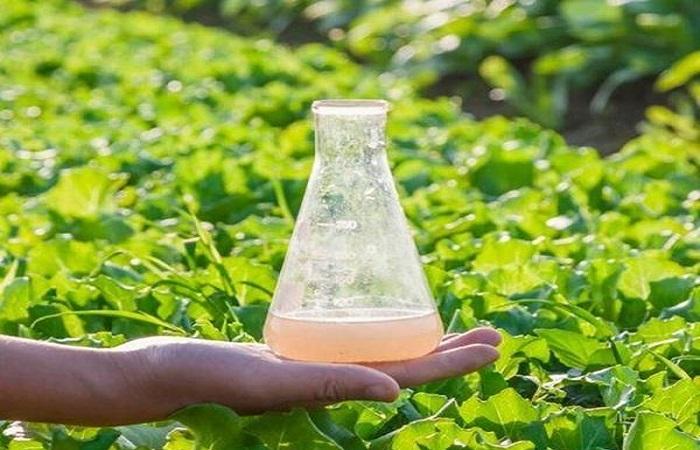 ของเหลวสำเร็จรูป