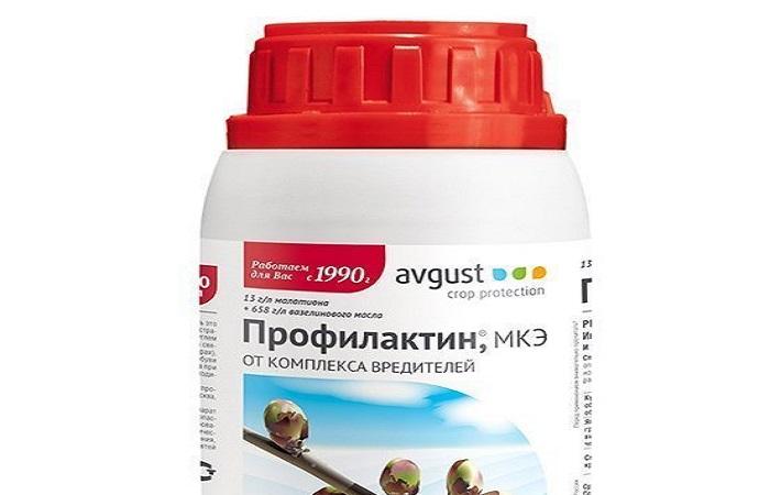 โปรฟิแลกติน 1 ขวด