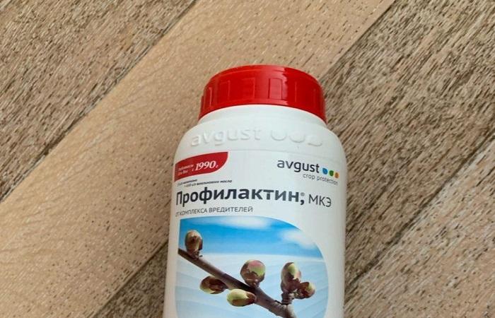 บรรจุภัณฑ์บนพื้น