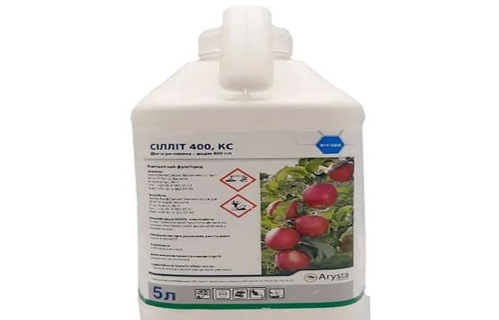 สารป้องกันเชื้อรา Sillit