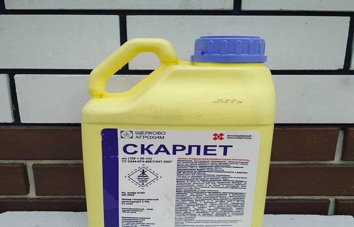 médicament pour les graines