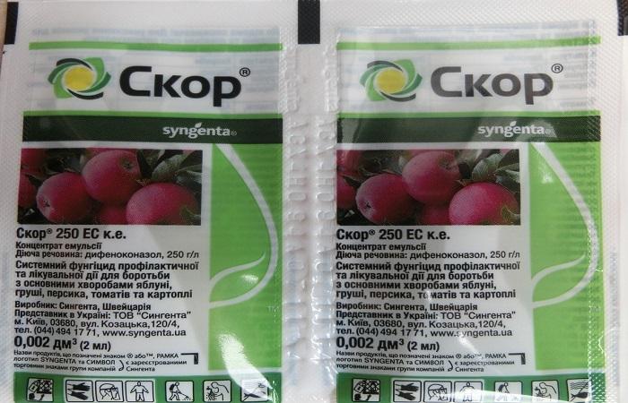 ถุงแห่งความเร็ว