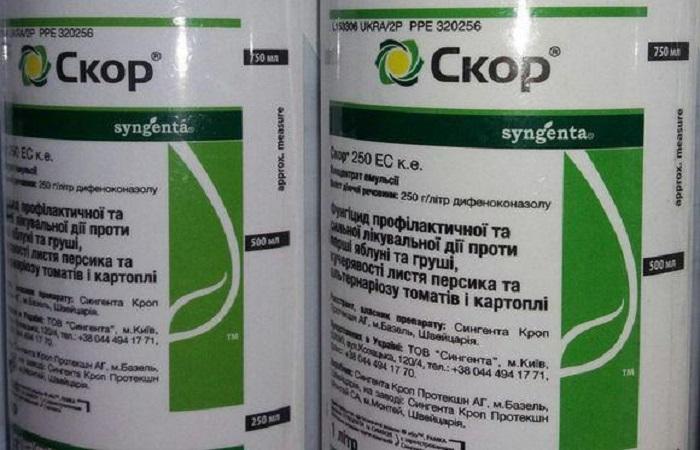 โซลูชันการทำงาน