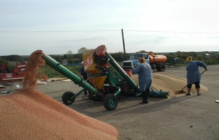 การจัดหาเมล็ดพืช