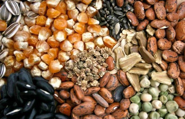 ประเภทของเมล็ดพืช