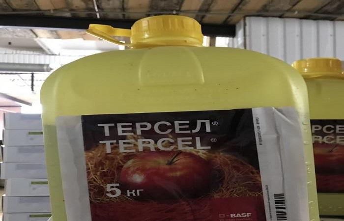 le médicament Tarsel