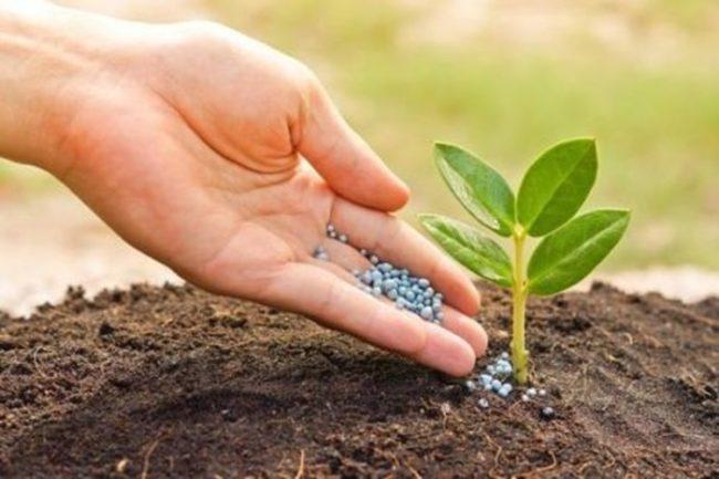 ฟอสเซทิลอะลูมิเนียม