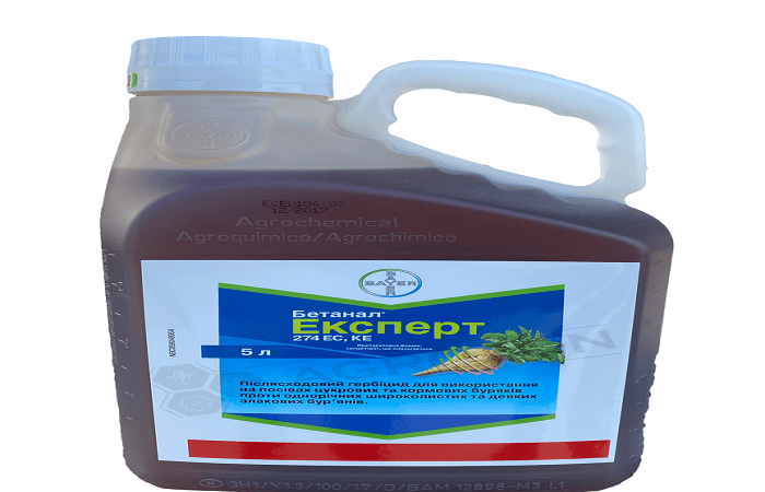 liquide à l'intérieur