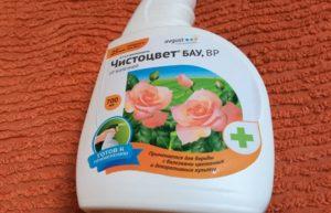 Mode d'emploi de Chistotsvet et composition du fongicide, dosage et analogues