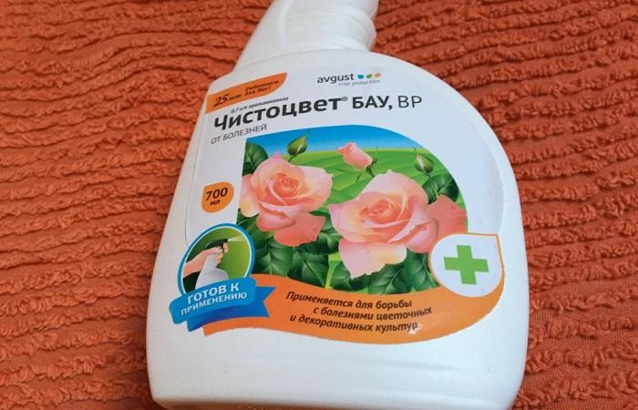 ดอกไม้บริสุทธิ์ในขวด