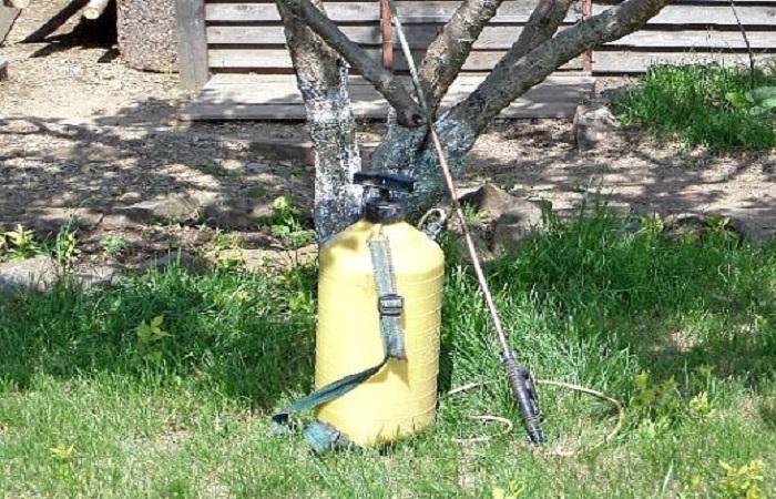 อุปกรณ์ฉีดพ่น