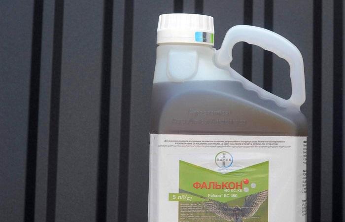 ผลิตภัณฑ์ฟอลคอน