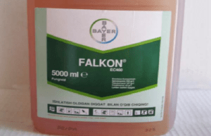 คำแนะนำสำหรับการใช้สารป้องกันเชื้อราฟอลคอนสำหรับกุหลาบและพืชอื่นๆ ที่คล้ายคลึงกัน