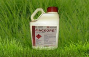 คำแนะนำสำหรับการใช้ Fascord และส่วนประกอบของยาฆ่าแมลง ปริมาณและสารที่คล้ายกัน